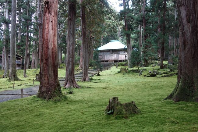 越前大野から、勝山に移動してきました。<br />今回の旅の中で、勝山方面で一番行きたかった場所となる<br />平泉寺白山神社を訪問します。<br /><br />テレビで見かけてから、行ってみたいと思っていましたが、<br />訪れてみてテレビで見た神社と違う事に気付きました 汗<br />(テレビで見たのは、どうやら隣県の白山比咩神社)<br /><br />間違ったとはいえ、参道や境内の雰囲気が抜群に良く、<br />神聖な空気に覆われた神社は、来て良かったと心から思える<br />静かな聖地でした。