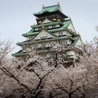 ２０２２年４月　やっぱ好っきゃねん！大阪♪桜を愛でいつものお店とりぽちゃんと♪大阪城～松葉～肉五郎～ヴィンテージ２４～アフタヌーンティー☆彡