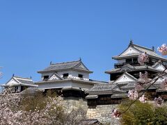 【春のSAKURAドライブ】城の魅力は無限大②…難攻不落の松山城は桜の回廊