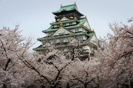 ２０２２年４月　やっぱ好っきゃねん！大阪♪桜を愛でいつものお店とりぽちゃんと♪大阪城～松葉～肉五郎～ヴィンテージ２４～アフタヌーンティー☆彡