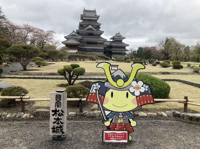 善光寺が7年に一度のご開帳が行われると言うことで、ＪＴＢ旅物語のツアーの長野県の有名な5つのお城（日本百名城）での花見と合わせて出かけて来ました。<br />今回の旅程は、<br />4月15日：新幹線で名古屋に行き、そこから特急しなの7号に乗り換えて塩尻駅で下車。その後バスで松本城、高遠城址公園を観光した後、立科町のホテルアルビエント蓼科に宿泊。<br />4月16日：バスで小諸城跡・懐古園、上田城跡公園観光後、善光寺参り。その後松代城跡を観光し、ＪＲ塩尻駅から特急電車と新幹線を乗り継いで帰宅しました。<br />例年だとこの時期が桜の満開なのですが、先週一気に暖かくなったせいか桜の花見の時期を逸してしまいました。<br />おまけに前日からの雨で桜の花もほとんどが散っていました。<br />ただ観光するときに雨が当たらなかったのが唯一の救いでした。<br />今回は初日に観光した、松本城と高遠城址公園を紹介します。<br />コヒガンザクラで有名な高遠城址公園の桜は、ほとんどが前日の雨で散ってしまってちょっと残念でしたが、花ビラの絨毯がとてもきれいでした。