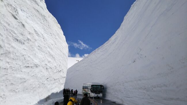 立山黒部アルペンルート★雪の大谷１