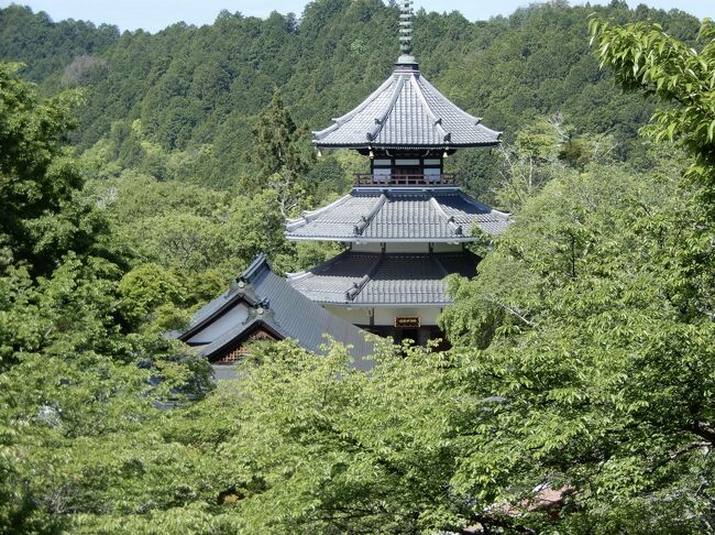 桜だけじゃない吉野山の魅力 新緑の吉野 吉野山のいちばん山奥へ 吉野 奈良県 の旅行記 ブログ By 豚のしっぽさん フォートラベル
