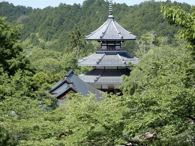 桜だけじゃない吉野山の魅力！　新緑の吉野　(吉野山のいちばん山奥へ)