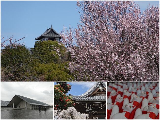 2022年は桜の開花は一気に来た！って感じでしたね。<br />蔓防も3/20で一旦区切りが付いたし、三回目のワクチン接種も済み、そろそろ活動開始？<br /><br />コロナ前は 激混みだった京都の桜は、やはり一度は観てみたいし、城と桜も絵になるしなあ。と春らしく旅欲が湧いてきます。<br />ということで、京都に加えて犬山城と遠州エリアの四泊五日のドライブ旅。<br />総走行距離は約1,000kmと 過去の西日本エリアへのドライブ旅行よりは少し少なめでした。<br /><br />前半は曇り、中日は雨、後半は快晴と春らしく周期的に天候が変化しましたが、気温は春めいた暖かな日々でした。<br /><br />第二弾は、愛知(犬山/豊川)編。<br />とは言うもの滋賀県大津の佐川美術館経由です。<br />国宝五城のひとつの犬山城は、以前に行ったはずですが記憶に残っておらずなので再訪。<br />また日本三大稲荷とも言われている「豊川稲荷」にも。〇〇稲荷は数あれど、中京エリア最大の稲荷ですが、神社ではなくお寺と言うのも特長です。