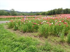 みちのく杜の湖畔公園と秋保温泉