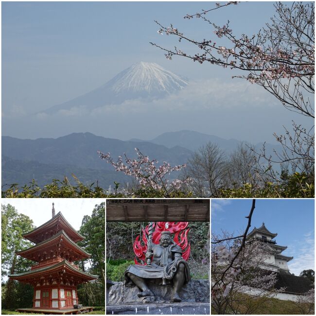 2022年は桜の開花は一気に来た！って感じでしたね。<br />蔓防も3/20で一旦区切りが付いたし、三回目のワクチン接種も済み、そろそろ活動開始？<br /><br />コロナ前は 激混みだった京都の桜は、やはり一度は観てみたいし、城と桜も絵になるしなあ。と春らしく旅欲が湧いてきます。<br />ということで、京都に加えて犬山城と遠州エリアの四泊五日のドライブ旅。<br />総走行距離は約1,000kmと 過去の西日本エリアへのドライブ旅行よりは少し少なめでした。<br /><br />前半は曇り、中日は雨、後半は快晴と春らしく周期的に天候が変化しましたが、気温は春めいた暖かな日々でした。<br /><br />最後になる第三弾は 静岡(遠州)編。<br />遠州エリアは 現在の静岡県西部エリアですが、今までに数十回は通過していますが、じっくりと観光をした記憶はほとんどなかったので、今回がほぼ初訪問。<br />もっとも有名なのは浜名湖ですが 時間の関係で今回は見送り。<br />遠州三山の内二つを参拝。宿泊が掛川となったので掛川城も。