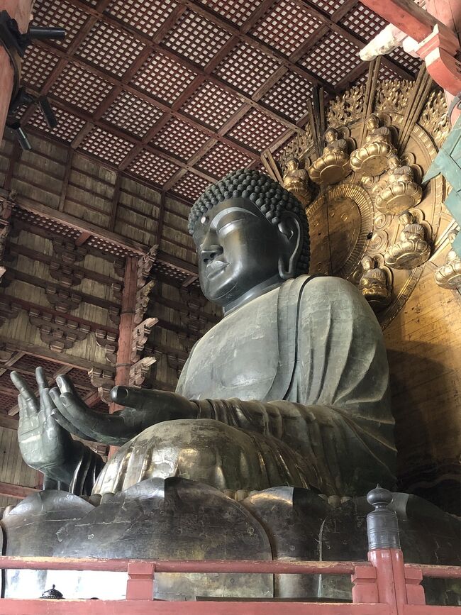 春旅 期初の関西出張 プチ観光 グルメ旅は外せない プチ観光編 Vol 2 奈良市 奈良県 の旅行記 ブログ By ドラゴン パパさん フォートラベル