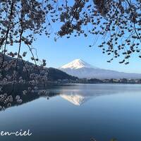 ◆甲斐の国◆富士と桜と湖を巡る温泉旅☆[２]風のテラスKUKUNA（2022）