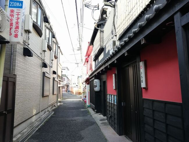 全国には、マイナーともメジャーとも言えない「ディープ」な地域がいくつかあります。<br />今回は大阪府和泉市にある「信太山新地」をご紹介します。<br />youtubeチャンネル<br />https://www.youtube.com/channel/UCNr4mIN6HdURGFu03WUrSpA<br /><br />★ディープな場所シリーズ<br /><br />福島第一原子力発電所のある町・大熊町&双葉町(福島)<br />https://4travel.jp/travelogue/11630107<br />鬼怒川温泉の廃旅館(栃木)<br />https://4travel.jp/travelogue/11700425<br />山谷&吉原(東京)<br />http://4travel.jp/traveler/satorumo/album/10577369/<br />http://4travel.jp/travelogue/10950418<br />横浜の青線地帯跡・黄金町&日ノ出町(神奈川)<br />http://4travel.jp/traveler/satorumo/album/10502282/<br />寿町(神奈川)<br />http://4travel.jp/travelogue/11151175<br />中村遊郭跡(愛知)<br />https://4travel.jp/travelogue/11370807<br />渡鹿野島(三重)<br />https://4travel.jp/travelogue/11641830<br />http://4travel.jp/travelogue/11104558<br />近鉄特急“しまかぜ”で渡鹿野島(三重)<br />https://4travel.jp/travelogue/11641830<br />雄琴温泉(滋賀)<br />https://4travel.jp/travelogue/11664247<br />五条楽園(京都)<br />https://4travel.jp/travelogue/11721728<br />http://4travel.jp/travelogue/10801251<br />http://4travel.jp/traveler/satorumo/album/10481833/<br />島原遊郭跡(京都)<br />https://4travel.jp/travelogue/11417200<br />猪崎新地跡(京都)<br />https://4travel.jp/travelogue/11452211<br />ビジネスホテル福助&ビジネスホテル加賀&ビジネスホテルみかど&パークイン&ビジネスホテル和香&三輝&ホテル東洋&ホテル新今宮&ビジネスホテル太洋(大阪)<br />https://4travel.jp/travelogue/11693115<br />釜ヶ崎&飛田新地(大阪)<br />https://4travel.jp/travelogue/11754701<br />http://4travel.jp/traveler/satorumo/album/10464129/<br />http://4travel.jp/travelogue/11147308<br />あいりん労働福祉センター(大阪)<br />https://4travel.jp/travelogue/11522467<br />信太山新地(大阪)<br />https://4travel.jp/travelogue/11749566<br />http://4travel.jp/traveler/satorumo/album/10540577/<br />松島新地(大阪)<br />http://4travel.jp/traveler/satorumo/album/10543325<br />滝井新地(大阪)<br />https://4travel.jp/travelogue/11762875<br />http://4travel.jp/traveler/satorumo/album/10597351/<br />今里新地(大阪)<br />https://4travel.jp/travelogue/11756083<br />http://4travel.jp/traveler/satorumo/album/10599481/<br />かんなみ新地(兵庫)<br />https://4travel.jp/travelogue/11741199<br />http://4travel.jp/traveler/satorumo/album/10602744/<br />宝山寺(生駒)新地(奈良)<br />https://4travel.jp/travelogue/11757479<br />http://4travel.jp/traveler/satorumo/album/10804891/<br />大和郡山「洞泉寺町&東岡町」(奈良)<br />http://4travel.jp/traveler/satorumo/album/10806452/<br />天王新地(和歌山)<br />http://4travel.jp/traveler/satorumo/album/10605153/<br />コザ吉原社交街(沖縄)<br />http://4travel.jp/travelogue/11013883<br />真栄原社交街(沖縄)<br />http://4travel.jp/travelogue/11014715<br />飾り窓(オランダ・アムステルダム)<br />http://4travel.jp/traveler/satorumo/album/10644833<br />http://4travel.jp/traveler/satorumo/album/10781304/