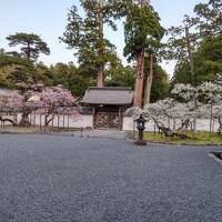 瑞巌寺春の特別ツアーに参加してきた！