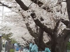 春旅　2022年十和田市官庁街の桜並木