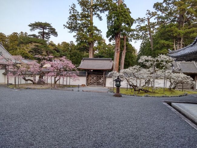 松島の宿泊施設の宿泊者限定で、瑞巌寺の特別ツアー（https://ssl.centuryhotel.co.jp/?p=3057）が開催されると知り、今まで近すぎて泊ったことのない松島に遊びに行ってきました。<br />天気も良く、気温も高く、人も多くなくとても満喫した春の旅でした。