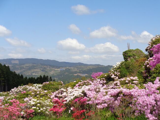 山のあなたの空遠く　～星の花公園シャクナゲまつり～