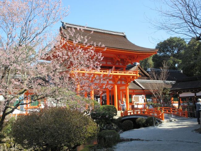 昨年秋の紅葉狩りに続いて、桜の名所巡りに行ってきました。京都に桜満開宣言が出たのが3月30日、京都を訪れたのが4月1日から7日までということで、どこに行っても桜は満開で、桜の美しさを堪能することができました。<br /><br />1日目は平野神社、京都府立植物館、蹴上インクライン、円山公園<br />2日目は醍醐寺周辺と高瀬川沿い<br />3日目は哲学の道周辺と平安神宮周辺、祇園白川<br />4日目は上賀茂神社と千本釈迦堂、渉成園<br />5日目は原谷苑と大徳寺周辺<br />6日目は吉野山<br />7日目は泉湧寺周辺、を訪れました。<br /><br />この旅行記は４日目の記録です。<br />