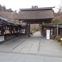 寺社探し【宮城（円通院と観瀾亭・Entuin temple & Kanrantei residence）編&#917763; 】