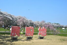 北上展勝地4/20満開！　[おときゅうパスで行く東北花めぐり]