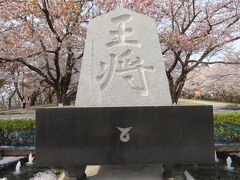 晴れおじさん「将棋の街で花見」でござる