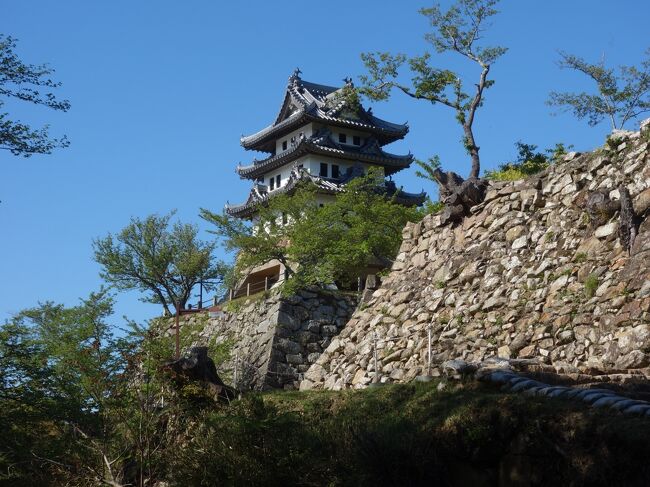 洲本城はずいぶん高いところにあります。船の通行を見張るために,高いところに築城したのでしょう。中心は,天守閣というより,見張りの櫓ともいう建物です。
