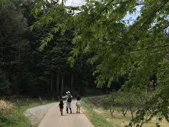 孫たちと春の『山の辺の道』を散策♪