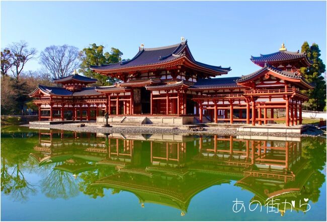 歳末の京都旅4日目となりました。<br /><br />この日も暖かな冬晴れの一日となりました。<br />京都駅 JR奈良線 宇治<br />タクシーで平等院へ<br />平等院鳳凰堂 鳳翔館 <br />歩いて<br />源氏物語ミュージアムへ<br />歩いて宇治川に架かる宇治橋を渡り<br />中村藤吉本店で休憩<br /><br />宇治(12:25) JR奈良線 京都(12:42)<br />京都駅・八条口(12:53) 市バス 東寺(13:08)<br />東寺<br />「東寺」から「観智院」と拝観し<br />東寺から タクシーで京都駅へ<br />私は、そのまま地下鉄で四条烏丸へ<br />南座「吉例顔見せ興行」千秋楽観覧。<br /><br />京都駅で別行動となったお二人は<br />なにやら美味しいものを食べ<br />お土産屋さんを見て歩いた後<br />朝預けた鞄をコインロッカーから出して<br />タクシーでホテルへ。<br />この日も、充実した一日となりました。<br /><br />☆最終3ページは<br /> 近況と「改訂版」~旅する映画の世界。