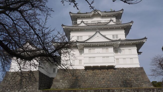 令和4年3月23日　(晴)　　小田原駅から平塚駅まで<br /><br />2020年の1月に京都の三条大橋から大津へ歩き始めました。これまでは、自宅から目的地へ列車で向かい、歩いた後は自宅へ戻るの繰り返しでして、前回は昨年10月8日から10日に掛けて箱根を歩き、湯本駅で街道歩きを終えました。その時、初めて三島と元箱根で宿泊を行いました。<br />そして、冬季と言う事やコロナ禍で街道歩きを控えていましたが、陽気が良くなって来たとかコロナ禍が落着きを見せてきました。そんなことから街道歩きを再開し、日本橋を目指しました。<br />今回、小田原へ向かうのに名古屋駅前から夜行高速バスに乗りました。<br /><br />JR小田原駅　→　小田原城　→　清水彦十郎本陣跡　→　久保田本陣跡　　→　<br />片岡本陣跡　→　小田原宿なりわい交流館　→　明治天皇行在所跡　→　<br />脇本陣古清水旅館　→　山上かまぼこ店　→　新宿　→　江戸口見附跡・一里塚　<br />→　山王神社　→　山王橋　→　常剱寺入口　→　　八幡神社　→　酒匂橋　→　<br />法船寺　→　印刷局入口　→　魚留水産　→　　JR国府津駅　→　国府津海岸　→　<br />男女双体道祖神　→　道祖神　→　車坂碑　→　男女双体道祖神　→　<br />押切坂の一里塚跡　→　石仏石塔群　→　　吾妻神社入口　→　名残り松　→　道祖神　→　切通し橋　→　道祖神　→　　八坂神社　→　滄浪閣跡　→　明治記念大磯邸園<br />→　上方見附跡　→　湘南発祥之地碑　→　高札場跡　→　大磯宿本陣跡　→　<br />三沢橋東側　→　　江戸方見附跡　→　松並木　→　東海道線地下道　→　化粧坂一里塚　→　　化粧井戸　→　花水橋　→　上方見附跡　→　平成の一里塚　→　<br />平塚宿高札場跡　→　平塚宿本陣跡　→　江戸口見附跡　→　JR平塚駅<br /><br /><br />