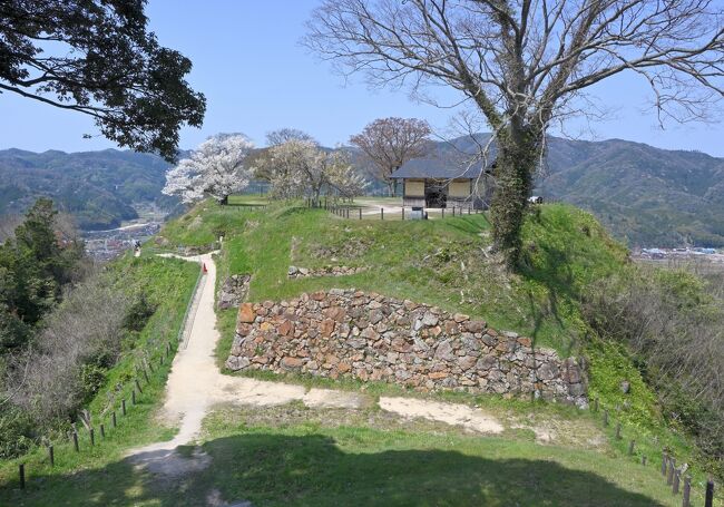 何度か計画しながら天候やコロナの影響で行けていなかった月山富田城を、ようやく訪れることができた。麓の桜はほぼ散ってしまっていたが、中腹から上にはまだ花が残っていて、石垣と桜の組み合わせが大変美しかった。城跡はよく整備されていて、明るい山城歩きを楽しむことが出来た。