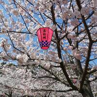 18きっぷで徳島へ　高松城跡でお花見も