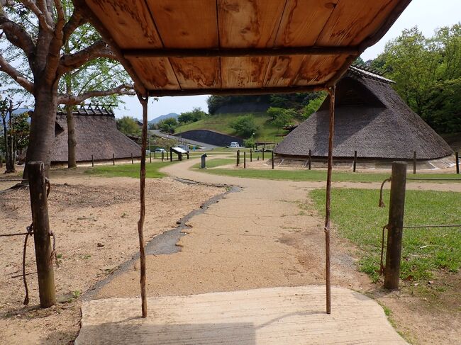 第15番札所の国分寺からあ阿波史跡公園へ行きました。<br />広い芝鵜の公園には復元された竪穴式住居が点在しています。<br />のんびりとできます。<br />16番札所観音寺・17番札所井戸寺を回ってから徳島市内眉山のふもとにあります法谷寺へ行きました。<br />眉山へ登ってからふもとにあります八幡神社と瑞巌寺へ寄りました。<br />https://youtu.be/jAKzGN39Jyw