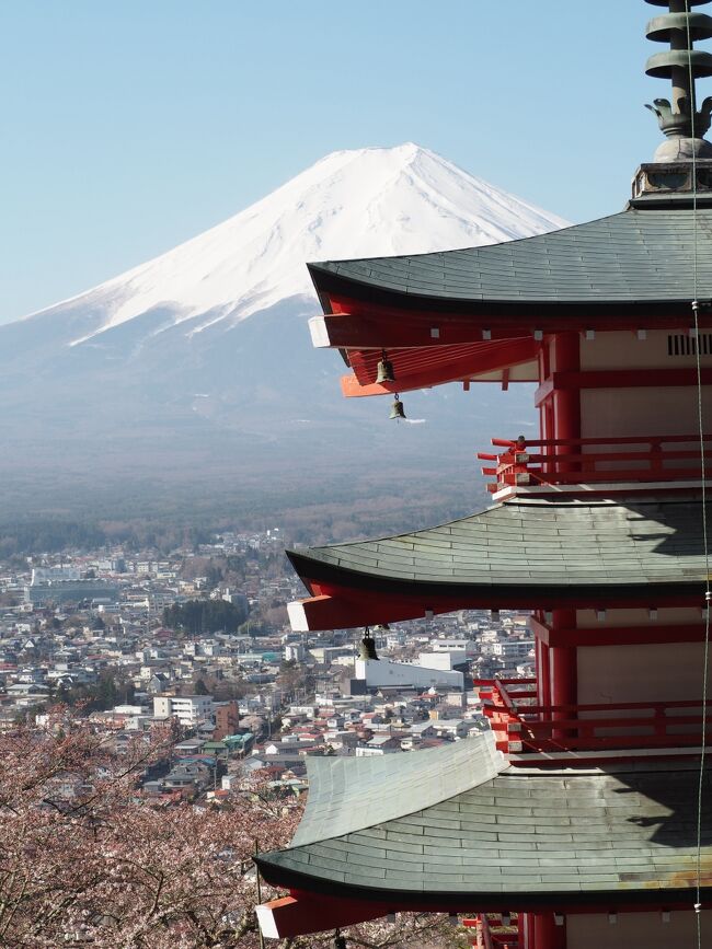 新倉山浅間公園の五重の塔と桜そして富士山の写真を撮りたく1年振りに新倉山浅間公園にやって来ました。<br />新倉山浅間公園はこれで3回目。<br />ミシュランガイドの表紙にもなった五重の塔と富士山そして桜の写真が撮りたく通い詰めていますが、1回目は富士山と五重の塔は綺麗に撮れましたが桜の時期ではなかった。<br />2回目は桜は満開でしたが、お天気に恵まれず富士山が見られなかった。<br />そして、3回目は富士山と桜のそして五重の塔の写真は撮れるのでしょうか・・・