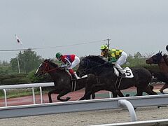 笠松競馬と日帰り温泉