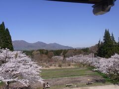 ２０２２春旅☆茅部神社の桜と、蒜山高原へ