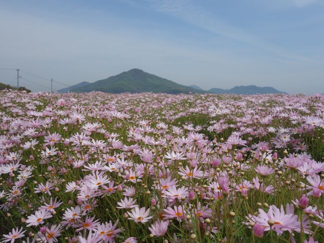 12年ぶりにきました「フラワーパークうらしま」。まさに，浦島太郎の気分です。