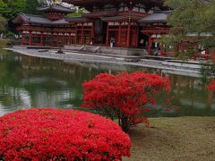 お墓参りに京都へ、宇治も観光する旅