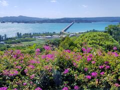 沖縄5泊6日その５「ヒルトン瀬底島リゾート２・古宇利島」