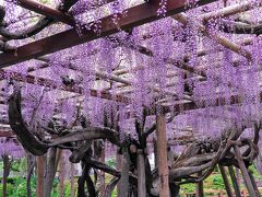 箱根湯本温泉の旅行記