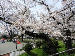 桜見物と史跡見学を兼ねて野毛山公園を散策