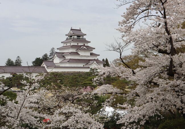 福島桜旅・・石部桜と飯盛山、鶴ヶ城公園を訪ねます。