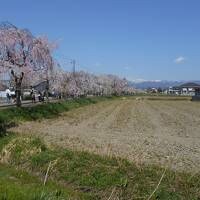 会津東山温泉に泊まり、喜多方市の日中線シダレザクラを愛でる(その1)