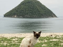 あっちこっち瀬戸内　５泊６日の旅⑤-2　　☆土曜日だけの「猫島から猫島航路」で佐柳島へ☆