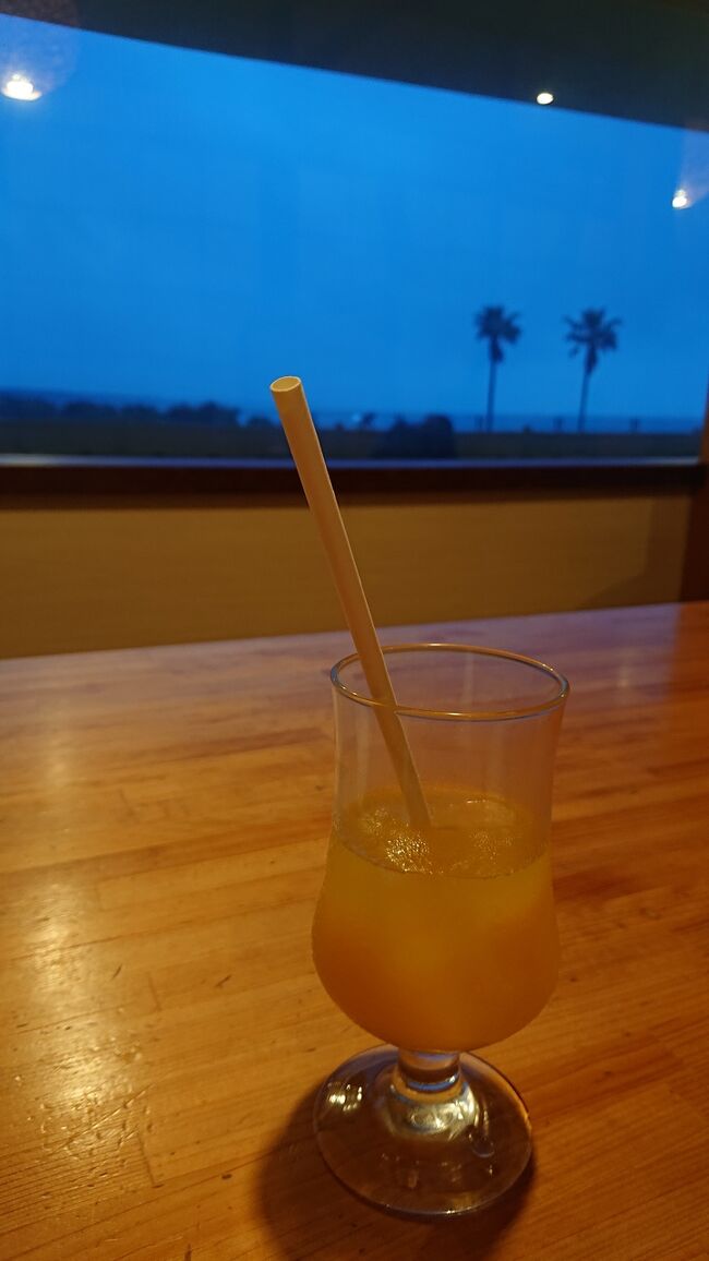 青い空と輝く太陽、ヤシの木の道を爽快にドライブ!!する予定が、まさかの大雨!<br /><br />いい写真が撮れません。<br /><br />1泊2日の初宮崎ひとり旅。<br />初日は、セントレアを楽しんでから、ANAで、宮崎へ。<br />レンタカーで、道の駅フェニックスと青島神社だけ観光して、宿泊先のANAホリデーイン・リゾート宮崎に行きました。