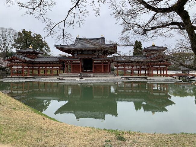 世界遺産のひとつ、宇治の平等院へ行きました。<br />朱色の建物が池に映る姿はとても繊細で美しかったです。<br /><br />平等院は１０５２年、藤原頼道により父の藤原道長の別荘を寺院に改めて創建されています。<br />翌年には阿弥陀堂を建て、それが今の鳳凰堂と呼ばれている建物です。<br />定朝作、阿弥陀如来坐像、雲中供養菩薩像、壁扉画など平安時代の浄土教美術<br />があります。<br /><br />平等院までの参道も、お茶屋さんや抹茶を扱うお店があちこち。<br /><br /><br /><br /><br />