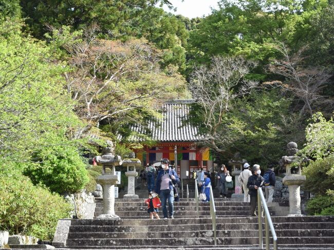 2022年4月、近鉄週末フリーきっぷを使って、京阪奈の仏像と花を巡る旅。その２は国宝秘仏を訪ねて観心寺と金剛寺へ。観心寺では年１度の秘仏如意輪観音、金剛寺では春秋に公開される金堂三尊にお参りしました。<br /><br />・観心寺で朝から整理券を配っていることを聞いて、９時前に急いで駆けつけるも、１０時半からの拝観に<br />・観心寺霊峰館（写真なし）や、境内の散策<br />・弘法大師が配置したという星塚めぐり<br />・楠木正成の首塚など<br />・金堂内で秘仏に対面（写真なし）<br />・バスで河内長野駅へ<br />・タクシーで天野山金剛寺へ<br />・金剛寺境内の散策と、金堂で三尊像の拝観<br />・金剛寺子院の摩尼院書院<br />・バスで河内長野駅へ。昼食は田舎蕎麦<br />　　<br />表紙写真は、新緑の中の観心寺金堂。