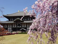 高野山、法隆寺、東大寺　世界遺産巡り　紀伊半島縦断2