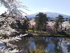 chokoっと散歩～北国に春がやってきた!!弘前の桜も満開。岩木山とのコラボはやっぱり最高!!～