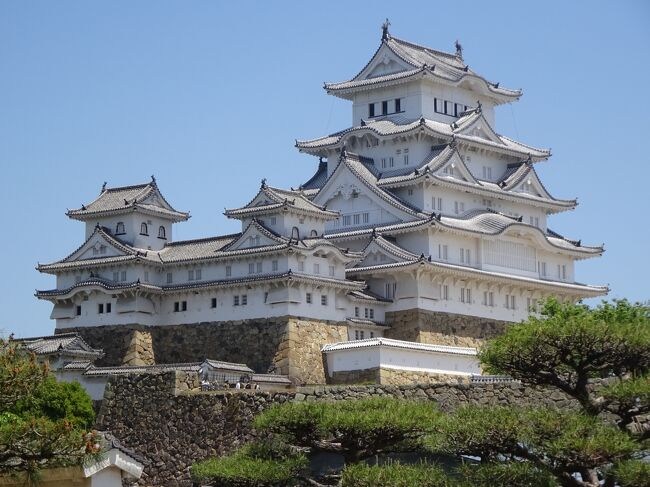 兵庫巡り6回目で姫路の姫路城 好古園 男山(千姫天満宮) 播磨国総社等を見ました｡(写真)西の丸より見た大天守と左に西小天守 その左に乾小天守｡<br />(姫路城)<br />日本100名城の一つで､400年間､一度も落城や火災に会う事が無く､当時のままで今に引き継がれた城です｡(戦争中､姫路の町は焼かれ､城に弾が落ちましたが､不発弾で助かりました｡城全体が白い為､黒い布を被せて守ったそうです｡)1346年､赤松貞範が姫山に城を築く｡その後､代々､城主が変わり増築をし､1581~1609年頃､今の様な形になりました｡城主は小寺頼季 黒田官兵衛 豊臣秀吉等と変わり 徳川時代に入り､池田輝政 本多忠政と変わり､1749年､上野国前橋より酒井氏が最後の城主として入城し､明治になり版籍奉還となりました｡48名の城主が変わりました｡その後､｢明治の大修理｣｢昭和の大修理｣平成21~27年にかけて｢平成の修理｣がありました｡昭和6年と昭和26年､国宝に指定｡平成５年に世界遺産に指定された。<br />(天守閣)<br />天守閣は大天守と3つの小天守(東･西･乾小天守)で構成されます｡<br />大天守は約15mの石垣に高さ約31mの木造建築が乗った構造｡外から見ると屋根の形などで5階建てに見えますが､実は地上6階 地下1階の7層です｡建物の中央部分を貫通する2本の大柱(東大柱は一本柱 西大柱は3階で継いだ2本の継木です｡)<br />(千姫について)<br />千姫は家康の孫娘で7歳で豊臣秀頼に輿入れをし､大坂夏の陣で炎の中､助け出された｡江戸に帰る途中､警護についた本多忠刻と恋愛関係になり､20歳で結婚｡10年間､姫路城で暮らし､幸福な時を迎えたが､子供や夫が相次いで死に､江戸に帰り｢天授院｣となり竹橋御殿で70歳で亡くなりました。<br />{旅程}<br />①2022年4月30日(土)<br />1)自宅(JR)7:39板宿8:00(山陽電鉄)8:52山陽姫路9:00(観光ﾙｰﾌﾟﾊﾞｽ400円)9:05大手門前で降ります｡<br />1)(姫路城観光)(好古館共1050円)<br />桜門橋 大手門 三ﾉ丸広場を通り､大樹展示場を見て､入城券購入｡ <br />2)菱ﾉ門(出格子窓 花菱) 三国堀 中村大佐顕彰碑 い･ろﾉ門(高麗門 屋根) 将軍坂(石畳ﾉ坂 狭間 ｢暴れん坊将軍｣撮影) はﾉ門(櫓門 ｸﾛｽ瓦) 東方下土塀 にﾉ門(鉄ﾉ門扉 曲道) ほﾉ門(本丸入口) 乾小天守 姥ｶﾞ石 油壁 水ﾉ門(6つの門)を通り､靴を脱ぎ､西小天守に入ります｡ <br />3)西小天守 ﾊの渡櫓 乾小天守 ロの渡櫓 東小天守を通り､<br />4)大天守(1F肘木･刻み番付･石落とし･六葉釘隠し2F武具掛け･破風ﾉ間･筋交･出格子窓3F東西ﾉ大柱･武者隠し･内室4F石打棚･高窓･破風ﾉ間5F千鳥破風 6F刑部神社･幻ﾉ窓･周囲の景色を見て､狭い階段をBF1(流し･厠･武器庫)に行き､再び､西小天守より外に出ます｡  <br />5)備前丸(本丸) 備前門(鉄ﾉ門扉･石棺) 帯の櫓 りﾉ門･太鼓櫓(狭間･二ﾉ丸入口) 二ﾉ丸(お菊ﾉ井戸) りﾉ一･二渡櫓(大天守ﾉ鯱) ぬﾉ門(二重ﾉ櫓門･鏡石) るﾉ門(穴門･石垣の違い)と歩き､  <br />6)西ﾉ丸(百間廊下)ｸﾉ櫓 渡櫓 をﾉ櫓 るﾉ櫓ぬﾉ櫓 化粧櫓･千姫(徳川秀忠ﾉ娘)人形)を見学し､入城門を出ます｡ <br />石庭 帯郭櫓 喜斎門跡と大天守を右に回り込み､男山･好古園に行きます｡ 