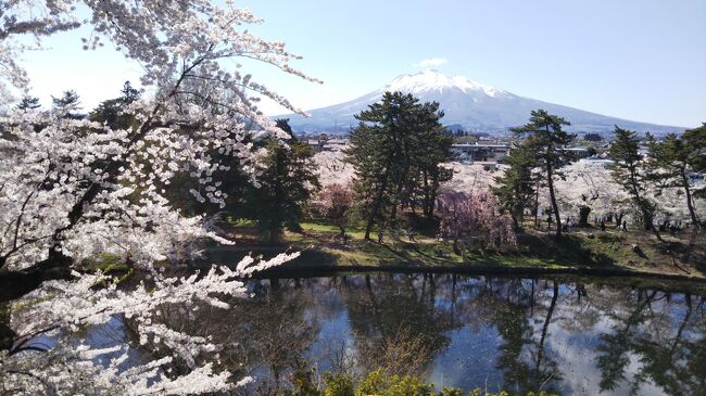 北国に，待ちに待った春がやってきました。弘前公園も満開とニュースで流れてきました。これは，行っちゃう？<br /><br />週末は天気も良さそうだし，行ってみることにしました。久しぶりに見た弘前の桜はやっぱり最高です。