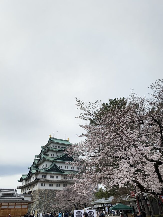 無事に志望校に合格した甥っ子と叔母である私との2人旅。<br /><br />リクエストを聞くと｢名古屋｣とのこと。<br /><br />日帰りも出来るなぁと思ってたけど、ホテルもお安く済みそうなので1泊で行くことに。<br />