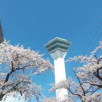 桜咲く函館二泊三日旅その3