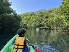 ソラシドマイルと彩発見クーポンで行く　西表島